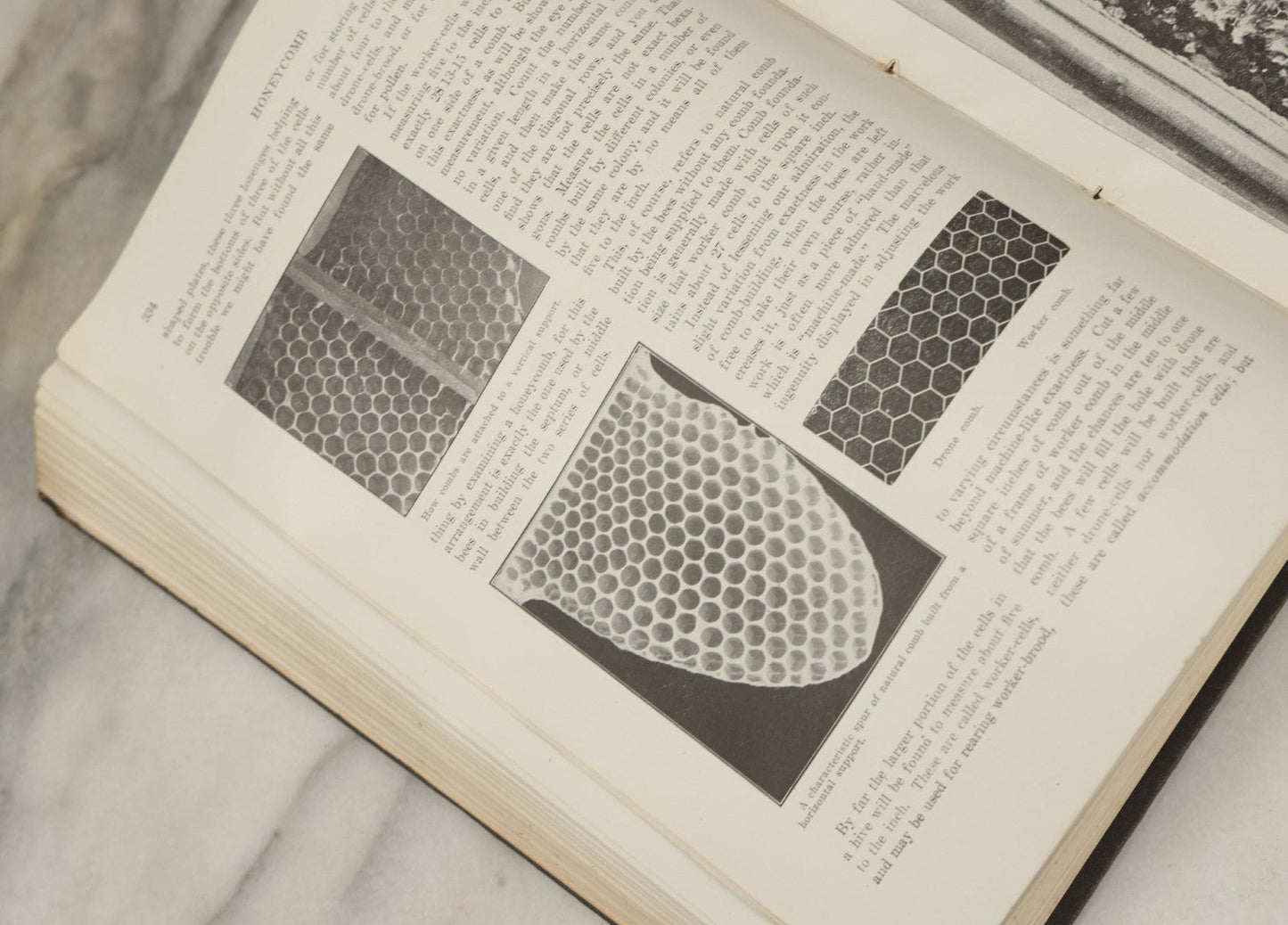 Lot 047 - "The Abc And Xyz Of Bee Culture" Antique Book By A.I. Root And E.R. Root, All About The Care Of Honey Bees, Profusely Illustrated, 1913 Edition