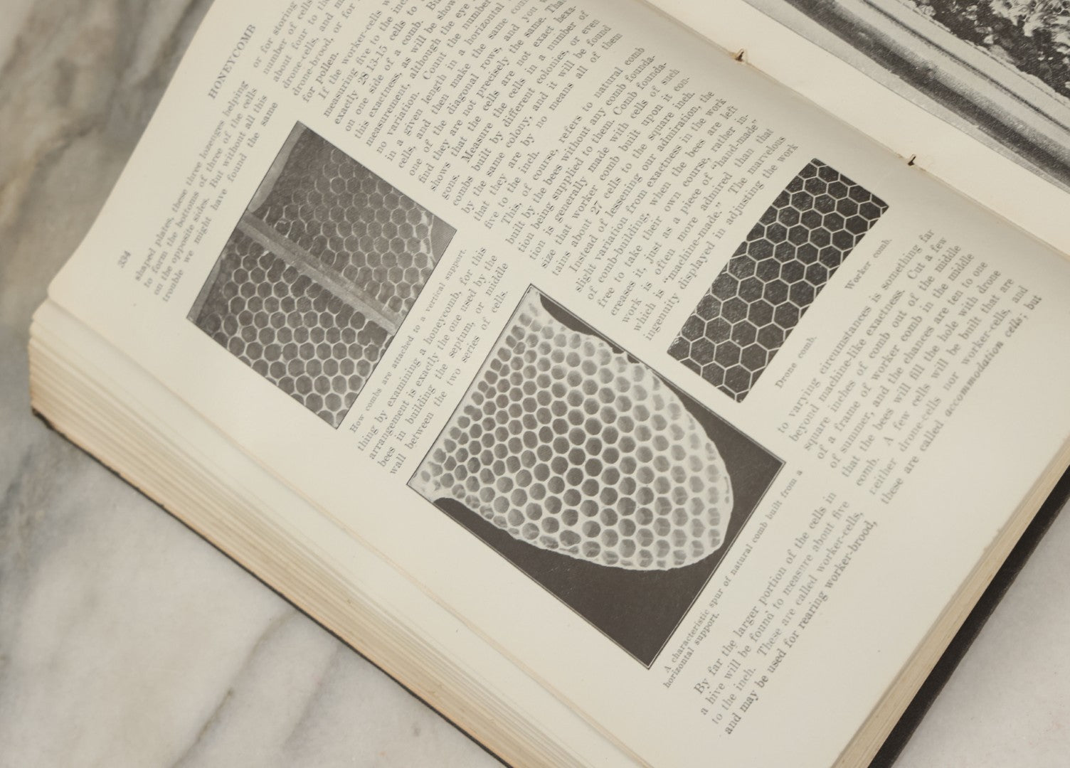 Lot 047 - "The Abc And Xyz Of Bee Culture" Antique Book By A.I. Root And E.R. Root, All About The Care Of Honey Bees, Profusely Illustrated, 1913 Edition