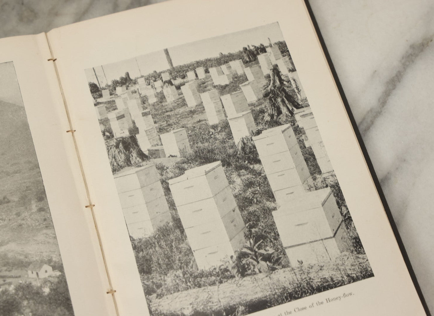 Lot 047 - "The Abc And Xyz Of Bee Culture" Antique Book By A.I. Root And E.R. Root, All About The Care Of Honey Bees, Profusely Illustrated, 1913 Edition