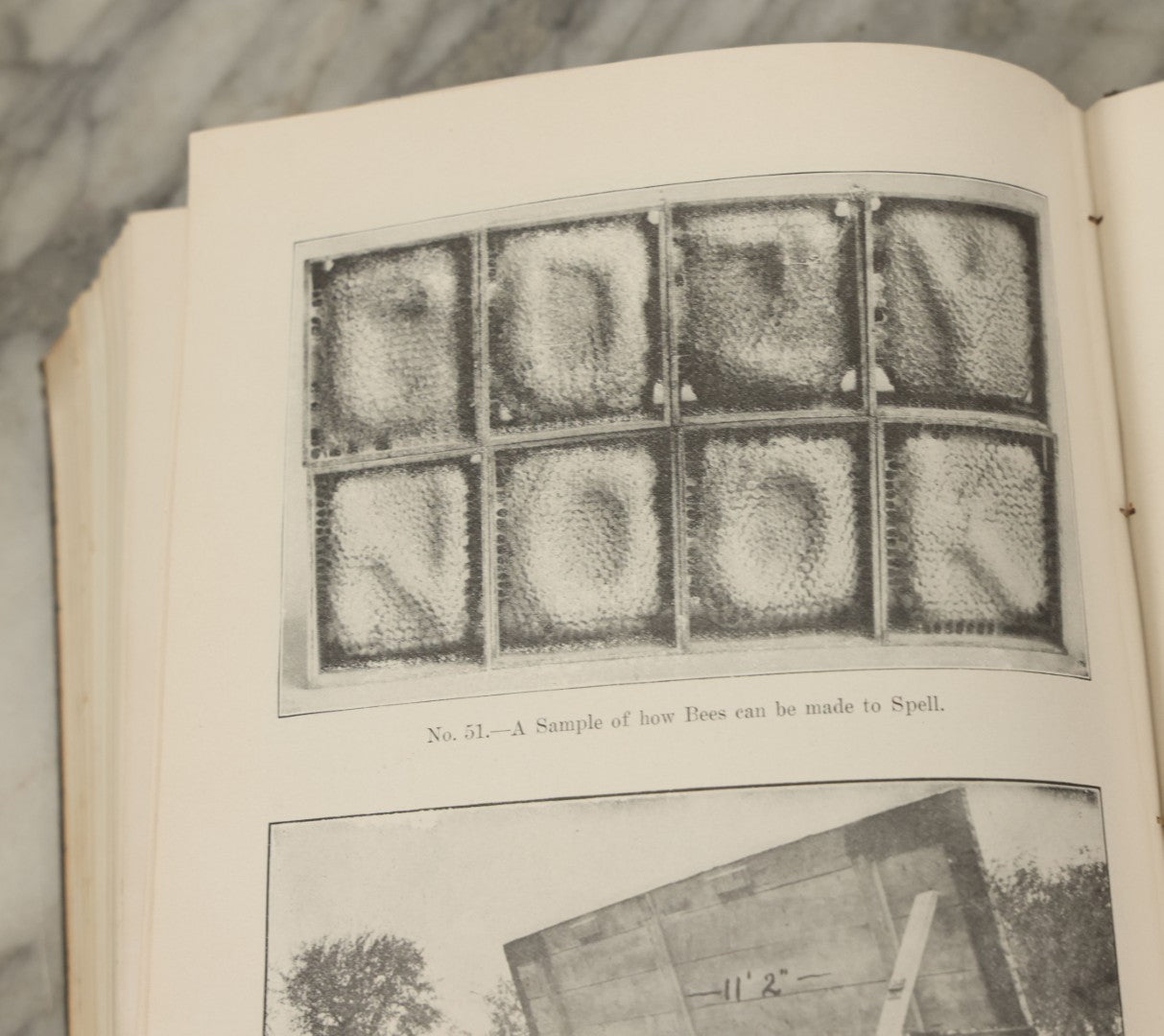 Lot 047 - "The Abc And Xyz Of Bee Culture" Antique Book By A.I. Root And E.R. Root, All About The Care Of Honey Bees, Profusely Illustrated, 1913 Edition