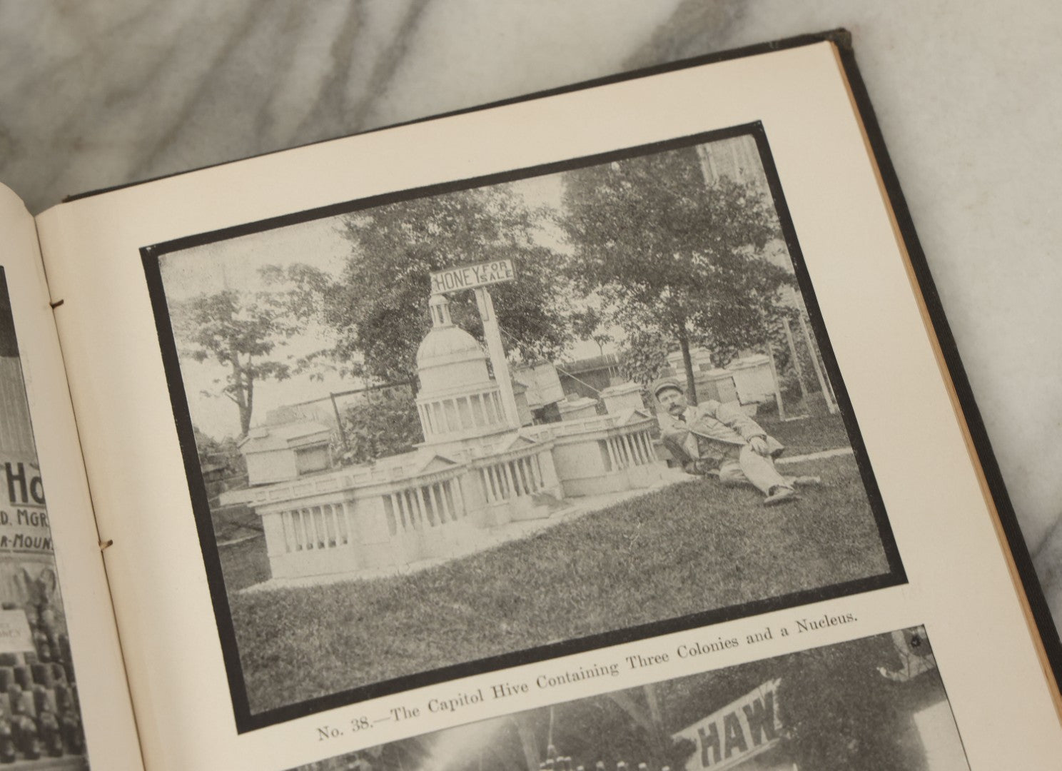 Lot 047 - "The Abc And Xyz Of Bee Culture" Antique Book By A.I. Root And E.R. Root, All About The Care Of Honey Bees, Profusely Illustrated, 1913 Edition