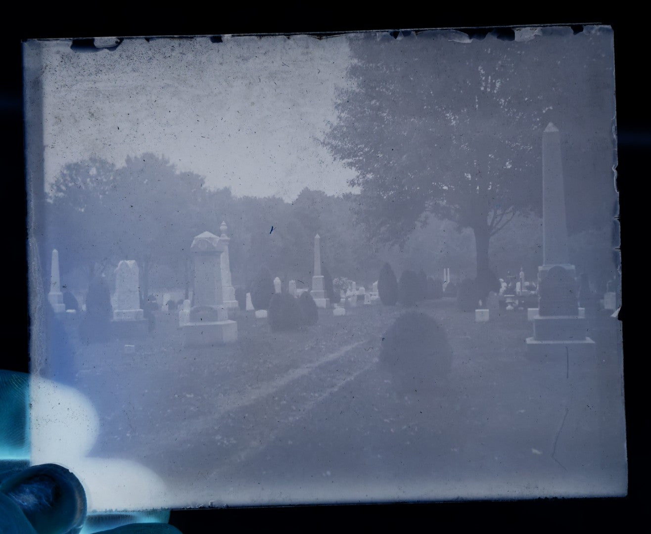 Lot 062 - Single Antique Glass Negative Plate, Graveyard Cemetery (First Photo Is Inverted)