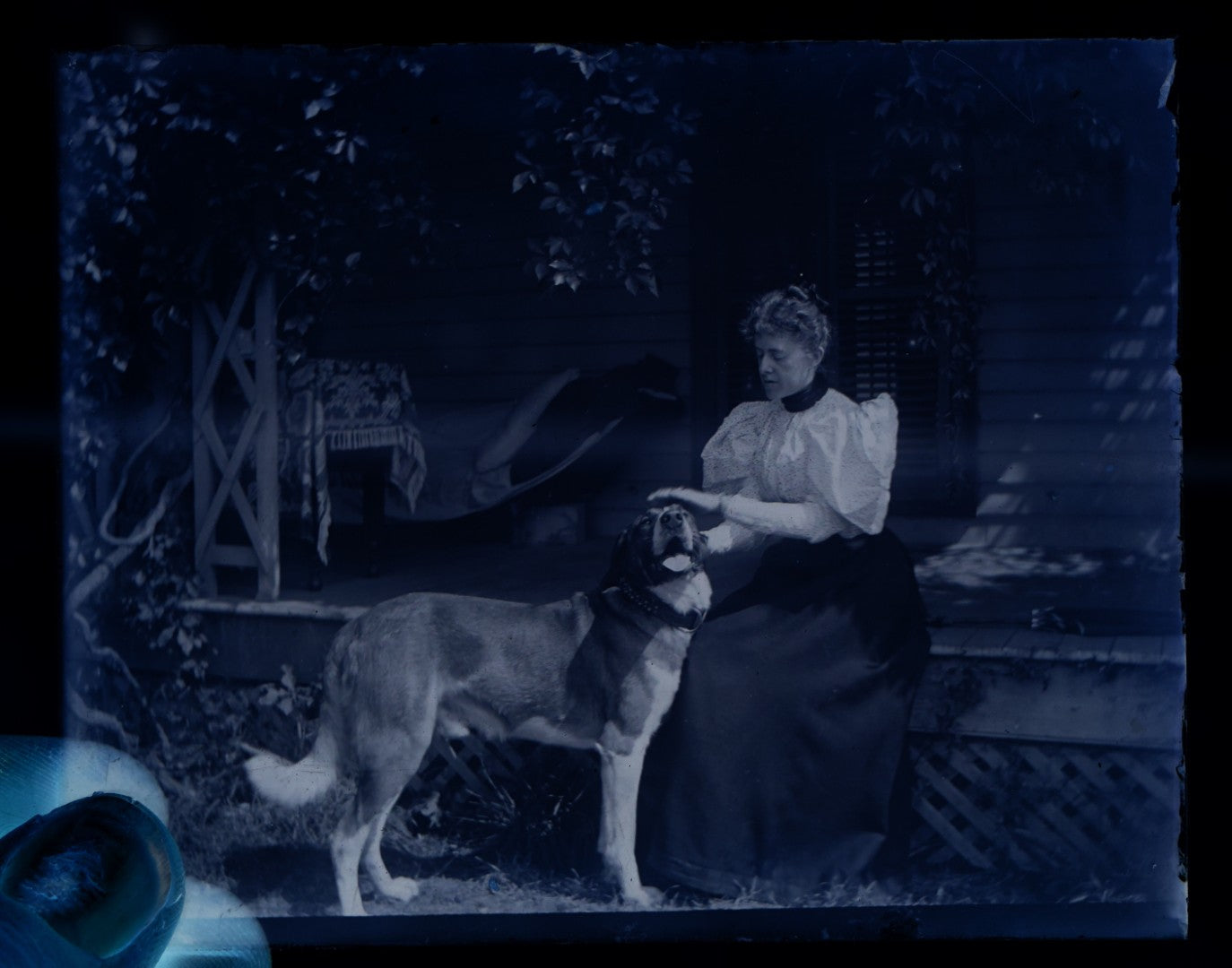 Lot 063 - Single Antique Glass Negative Plate, Woman With Happy Dog On Porch (First Photo Is Inverted)