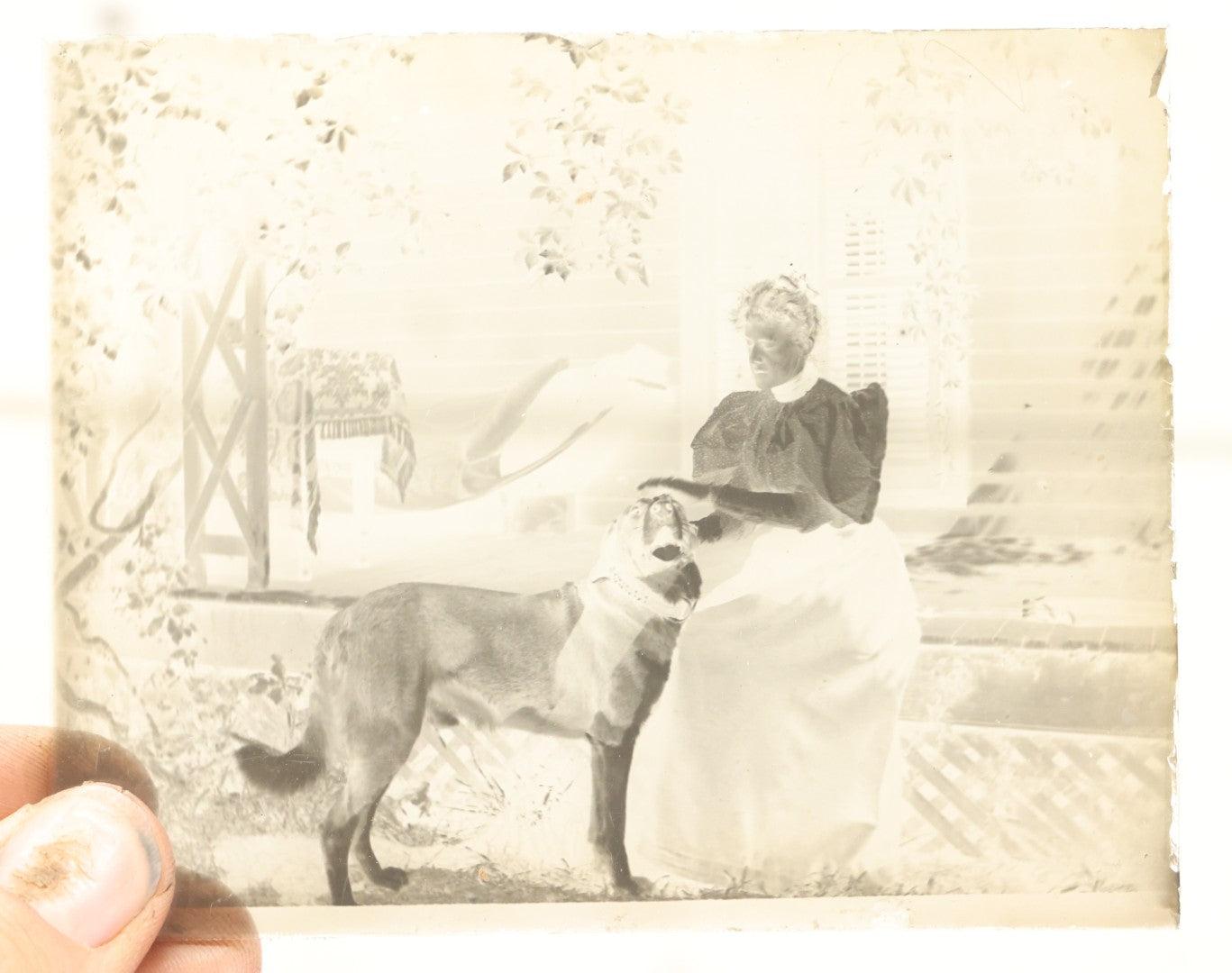 Lot 063 - Single Antique Glass Negative Plate, Woman With Happy Dog On Porch (First Photo Is Inverted)
