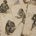 Lot 067 - Grouping Of 10 Antique Engravings Of Primates And Monkeys, Circa 1827