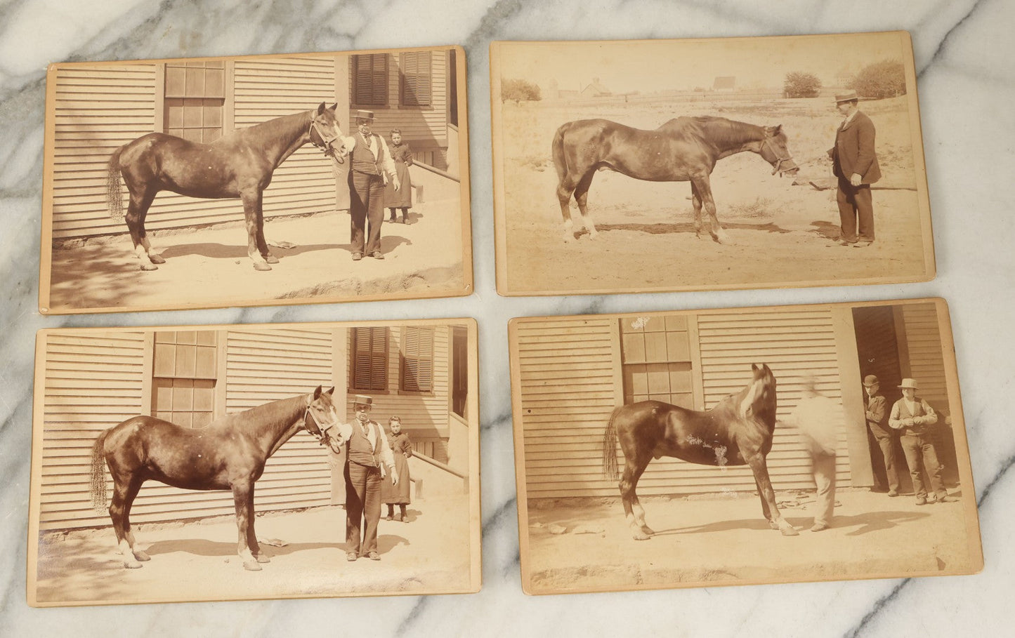 Lot 114 - Grouping Of Four Large Sized Cabinet Card Photographs Of Billy The Horse And His Handler, Ellinwood Photo, Manchester, New Hampshire