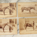 Lot 114 - Grouping Of Four Large Sized Cabinet Card Photographs Of Billy The Horse And His Handler, Ellinwood Photo, Manchester, New Hampshire