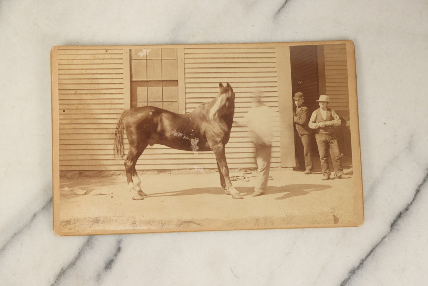 Lot 114 - Grouping Of Four Large Sized Cabinet Card Photographs Of Billy The Horse And His Handler, Ellinwood Photo, Manchester, New Hampshire