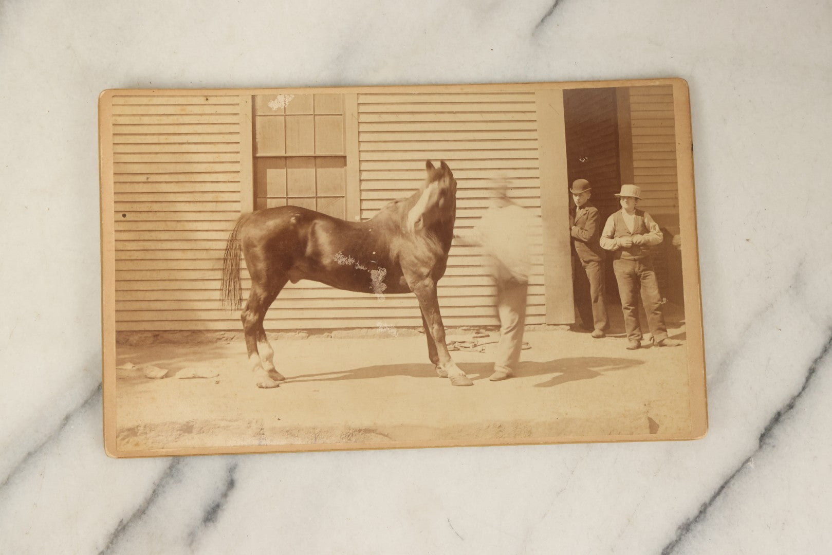 Lot 114 - Grouping Of Four Large Sized Cabinet Card Photographs Of Billy The Horse And His Handler, Ellinwood Photo, Manchester, New Hampshire