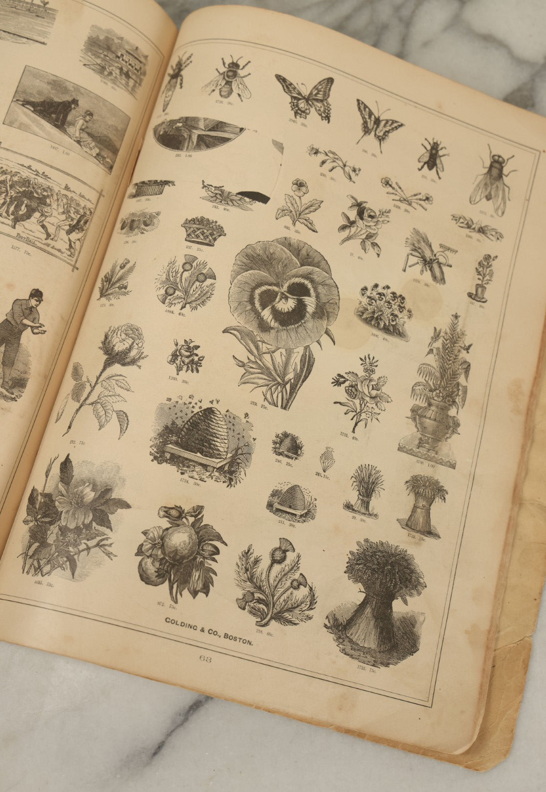 Lot 124 - "Specimens Of Electropype Cuts, Ornamental Designs, Etc." Antique Catalogue From Golding And Co., Boston, Massachusetts, Profusely Illustrated With Various Designs