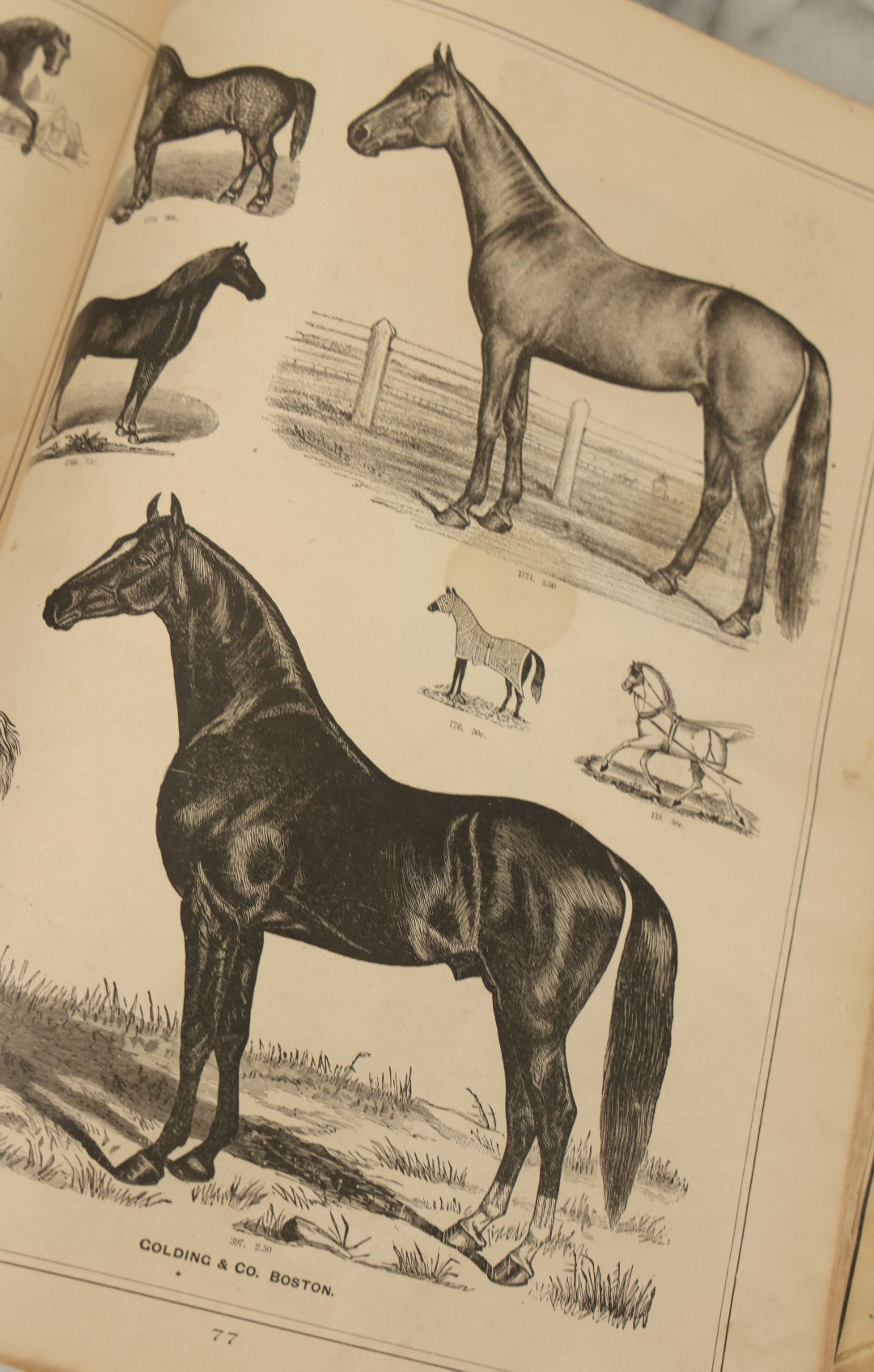 Lot 124 - "Specimens Of Electropype Cuts, Ornamental Designs, Etc." Antique Catalogue From Golding And Co., Boston, Massachusetts, Profusely Illustrated With Various Designs