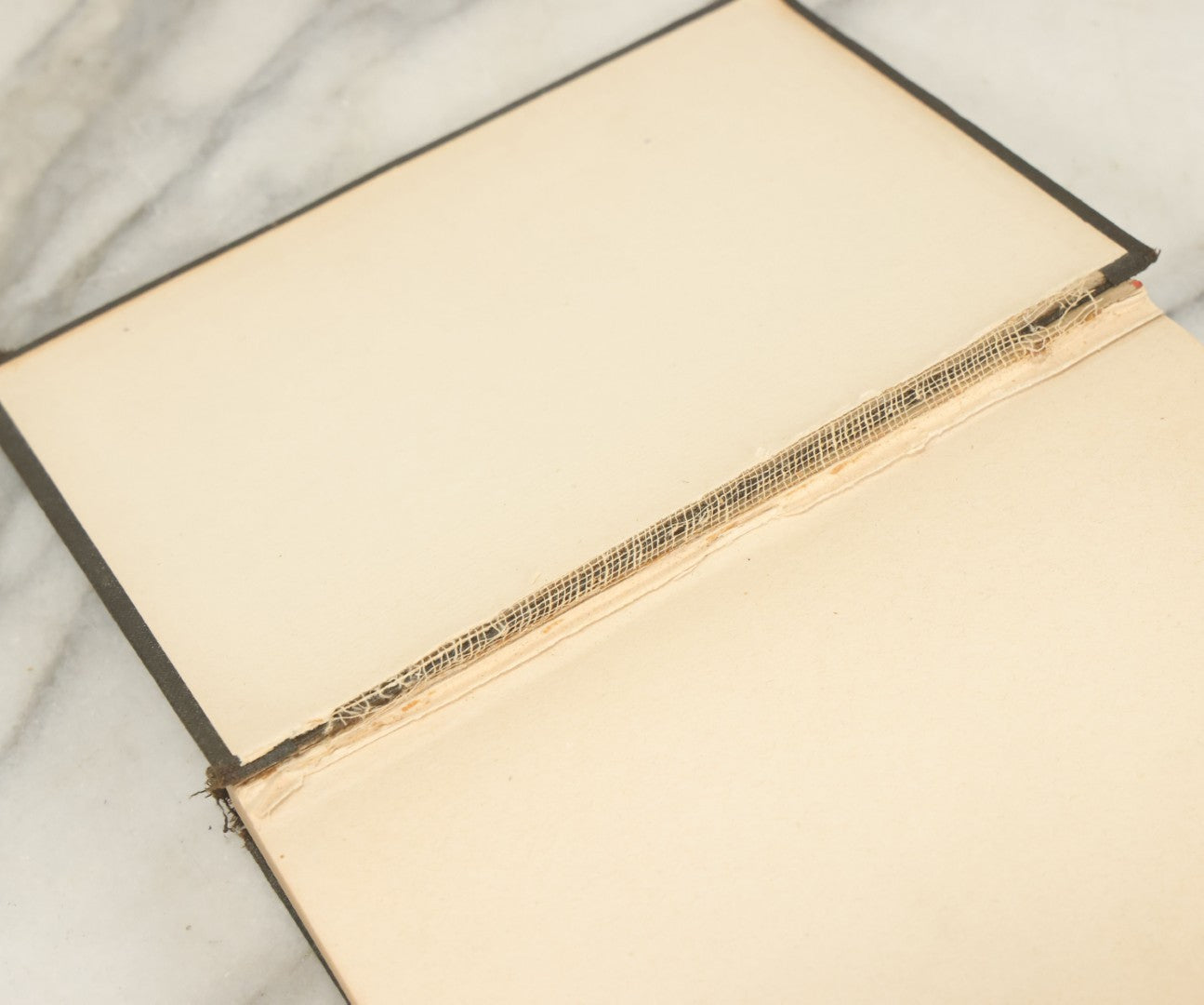 Lot 122 - "Buzzacott's Masterpiece Or The Complete Hunters', Trappers', And Campers' Library Of Valuable Information" Antique Book With Photos By "Buzzacott," Mcmains & Meyer Publishers, 1913