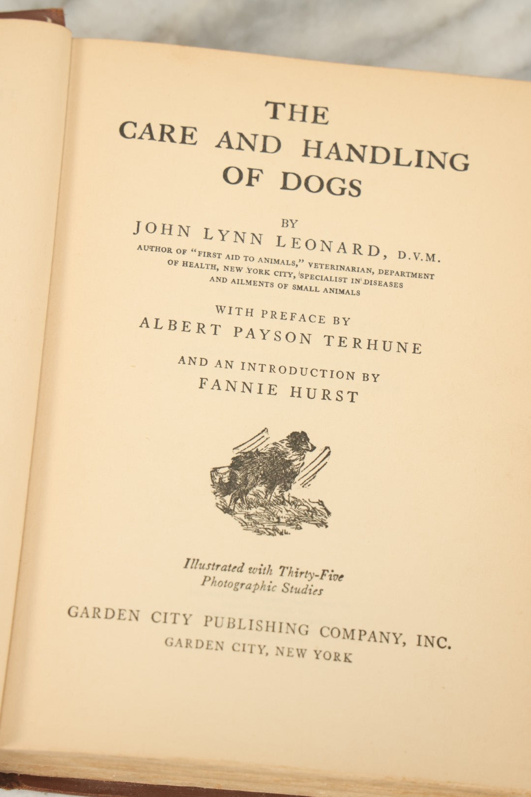 Lot 124 - "The Care And Handling Of Dogs" Vintage Book By John Lynn Leonard, Illustrated With Thirty-Five Photographic Studies, Garden City Publishing Company, Garden City, New York, 1928