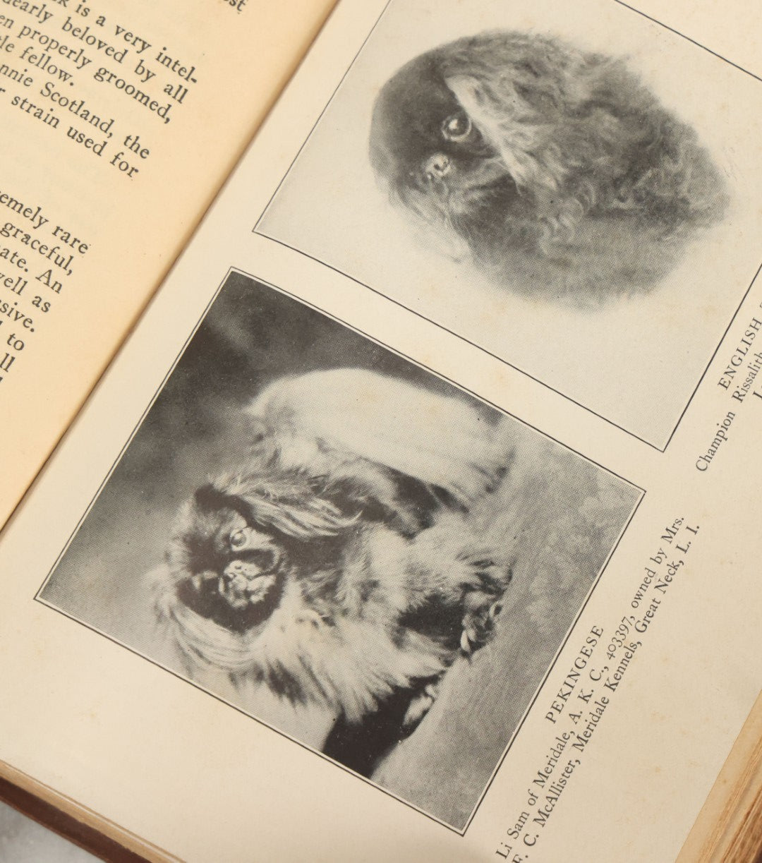 Lot 124 - "The Care And Handling Of Dogs" Vintage Book By John Lynn Leonard, Illustrated With Thirty-Five Photographic Studies, Garden City Publishing Company, Garden City, New York, 1928