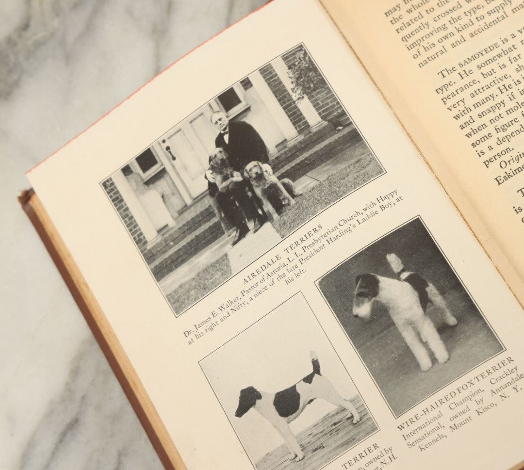 Lot 124 - "The Care And Handling Of Dogs" Vintage Book By John Lynn Leonard, Illustrated With Thirty-Five Photographic Studies, Garden City Publishing Company, Garden City, New York, 1928