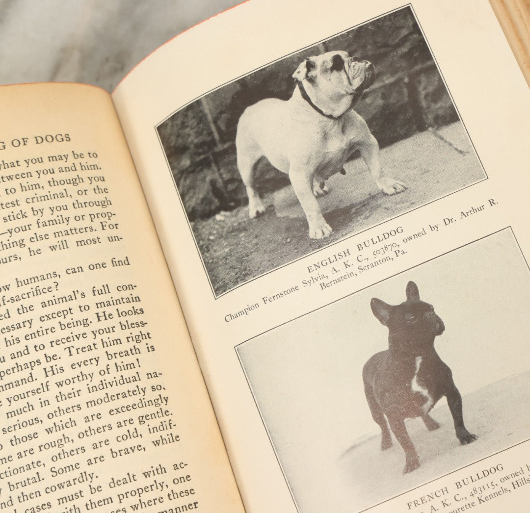 Lot 124 - "The Care And Handling Of Dogs" Vintage Book By John Lynn Leonard, Illustrated With Thirty-Five Photographic Studies, Garden City Publishing Company, Garden City, New York, 1928