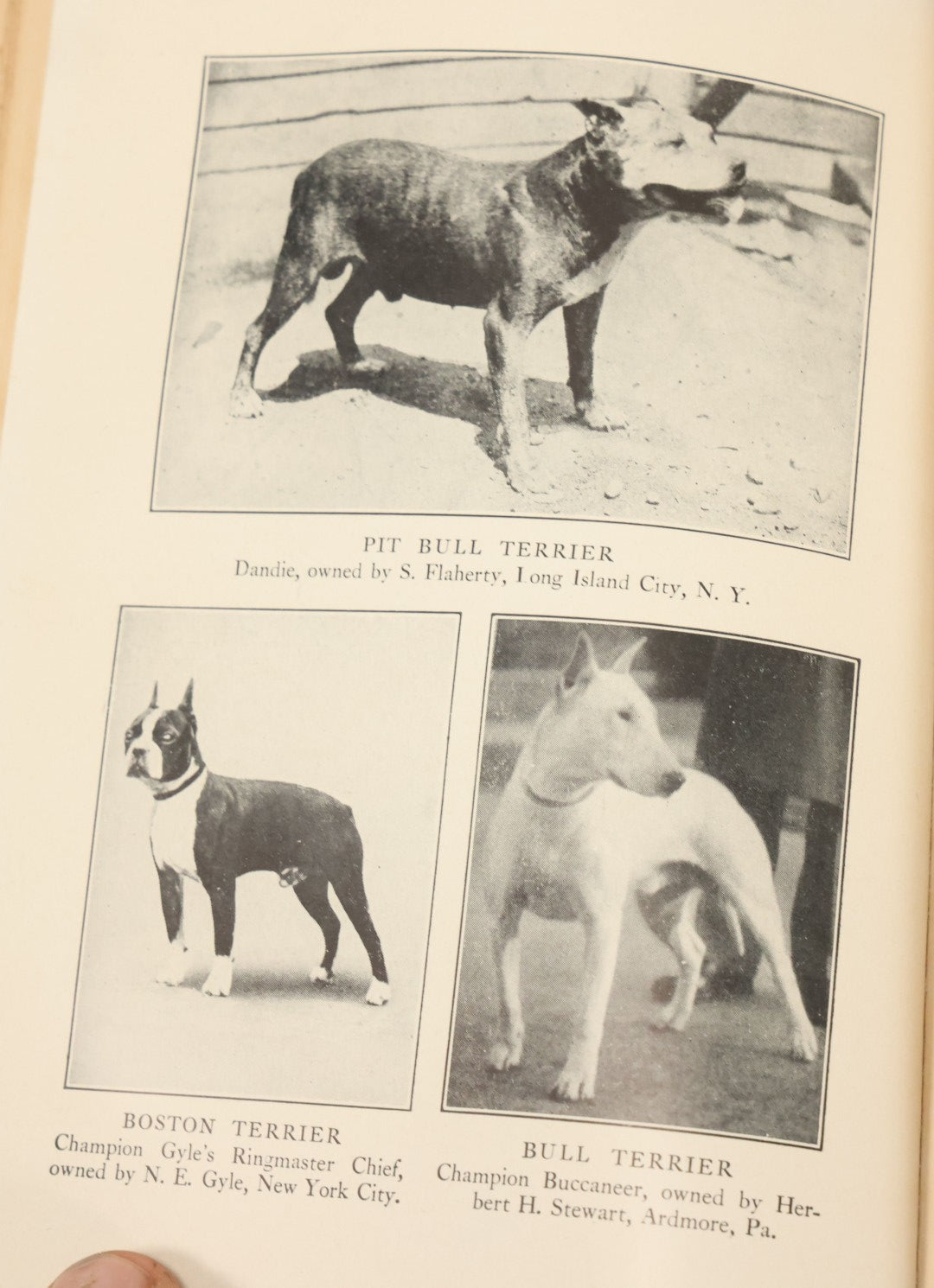 Lot 124 - "The Care And Handling Of Dogs" Vintage Book By John Lynn Leonard, Illustrated With Thirty-Five Photographic Studies, Garden City Publishing Company, Garden City, New York, 1928