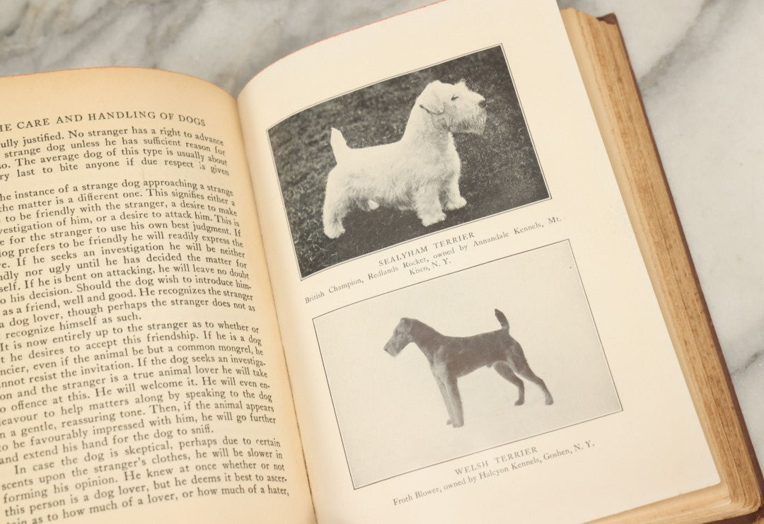 Lot 124 - "The Care And Handling Of Dogs" Vintage Book By John Lynn Leonard, Illustrated With Thirty-Five Photographic Studies, Garden City Publishing Company, Garden City, New York, 1928