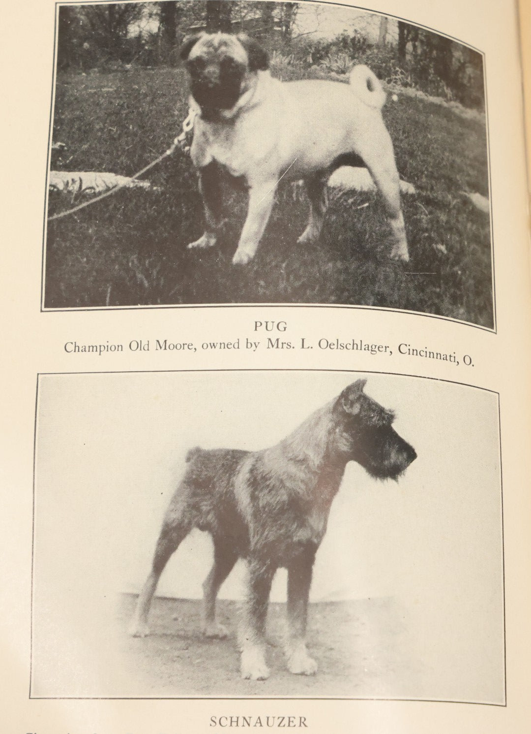 Lot 124 - "The Care And Handling Of Dogs" Vintage Book By John Lynn Leonard, Illustrated With Thirty-Five Photographic Studies, Garden City Publishing Company, Garden City, New York, 1928