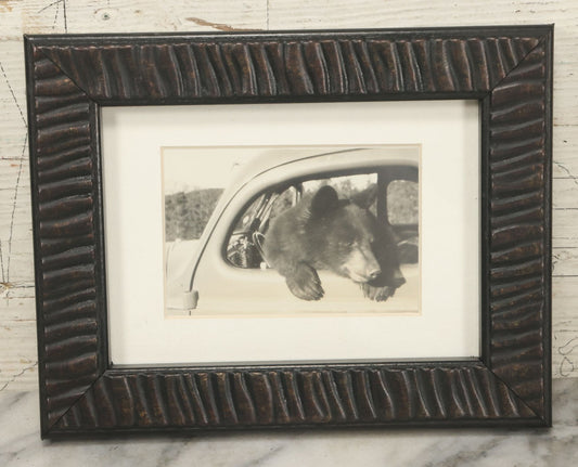 Lot 129 - Vintage Framed Snapshot Photograph Of A Bear In A Car, Circa 1940s, In Modern Frame, 9-1/8" x 7-1/8"