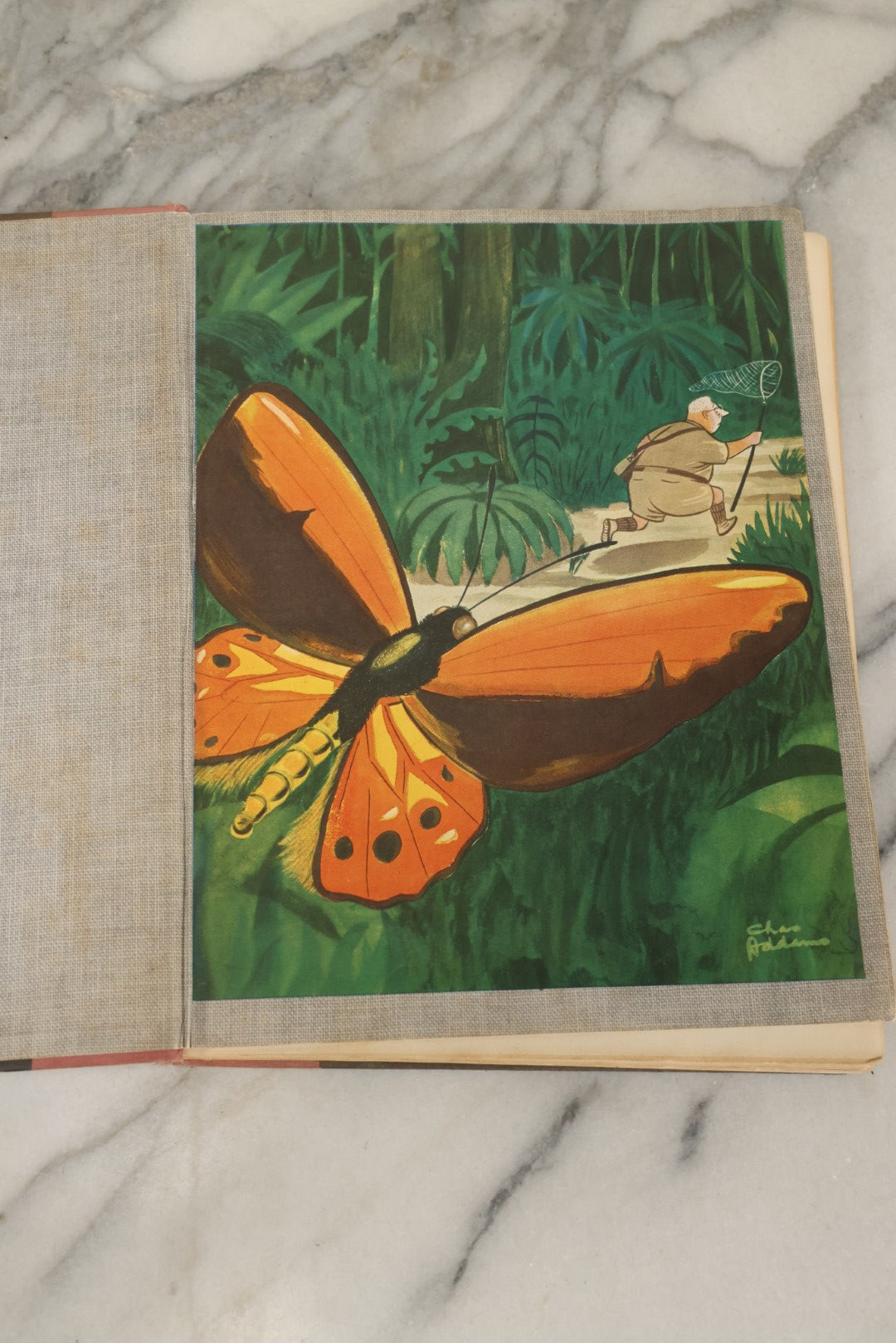 Lot 158 - "Homebodies" Vintage Illustrated Book By Charles Addams, Featuring The Characters Of The Addams Family, Simon And Schuster, Publishers, New York, 1954, Fifth Printing, Note Wear To Binding