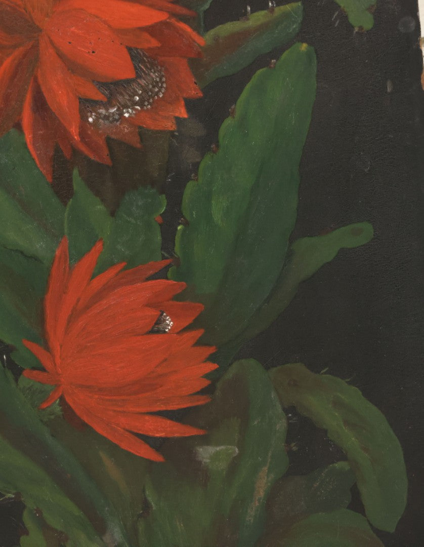 Lot 012 - Antique Hand-Painted Cactus Flower Artwork, Bold Red Blooms On Black Background, Botanical Wall Art, 10-1/8" x 24"