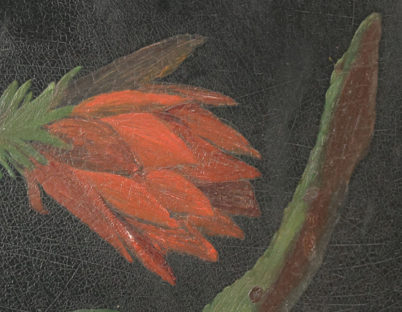 Lot 012 - Antique Hand-Painted Cactus Flower Artwork, Bold Red Blooms On Black Background, Botanical Wall Art, 10-1/8" x 24"