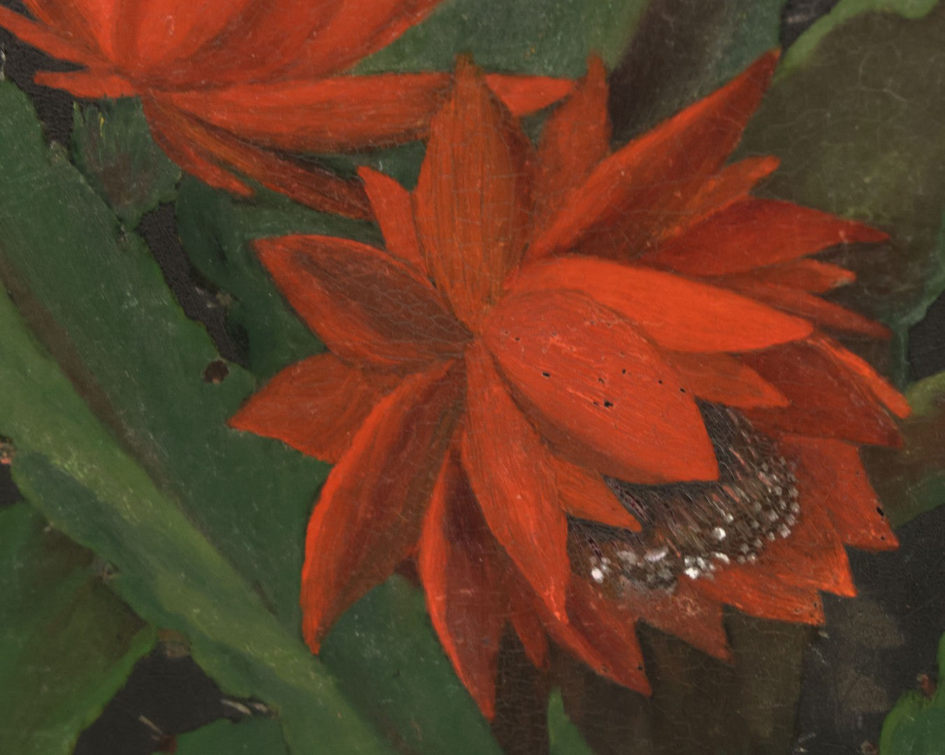 Lot 012 - Antique Hand-Painted Cactus Flower Artwork, Bold Red Blooms On Black Background, Botanical Wall Art, 10-1/8" x 24"