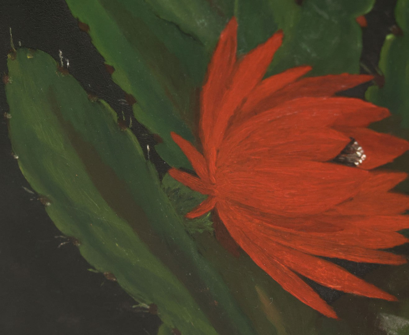 Lot 012 - Antique Hand-Painted Cactus Flower Artwork, Bold Red Blooms On Black Background, Botanical Wall Art, 10-1/8" x 24"