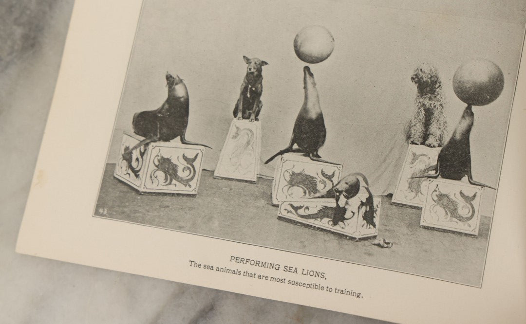 Lot 192 - "Sights, Scenes, And Wonders At The World's Fair: Gem Edition" Official Book Of Views Of The Louisiana Purchase Exposition, Published By Official Photographic Company, 1904