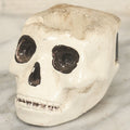 Lot 042 - Vintage Chalkware Skull Ashtray With Magnet Mount, Hand-Painted Details