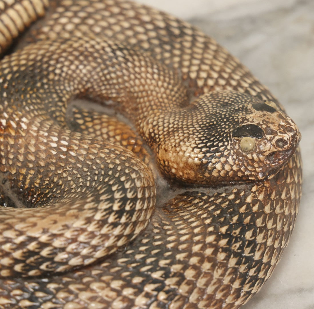 Lot 043 - Vintage Chalkware Coiled Rattlesnake Figurine, Realistic Textured Finish