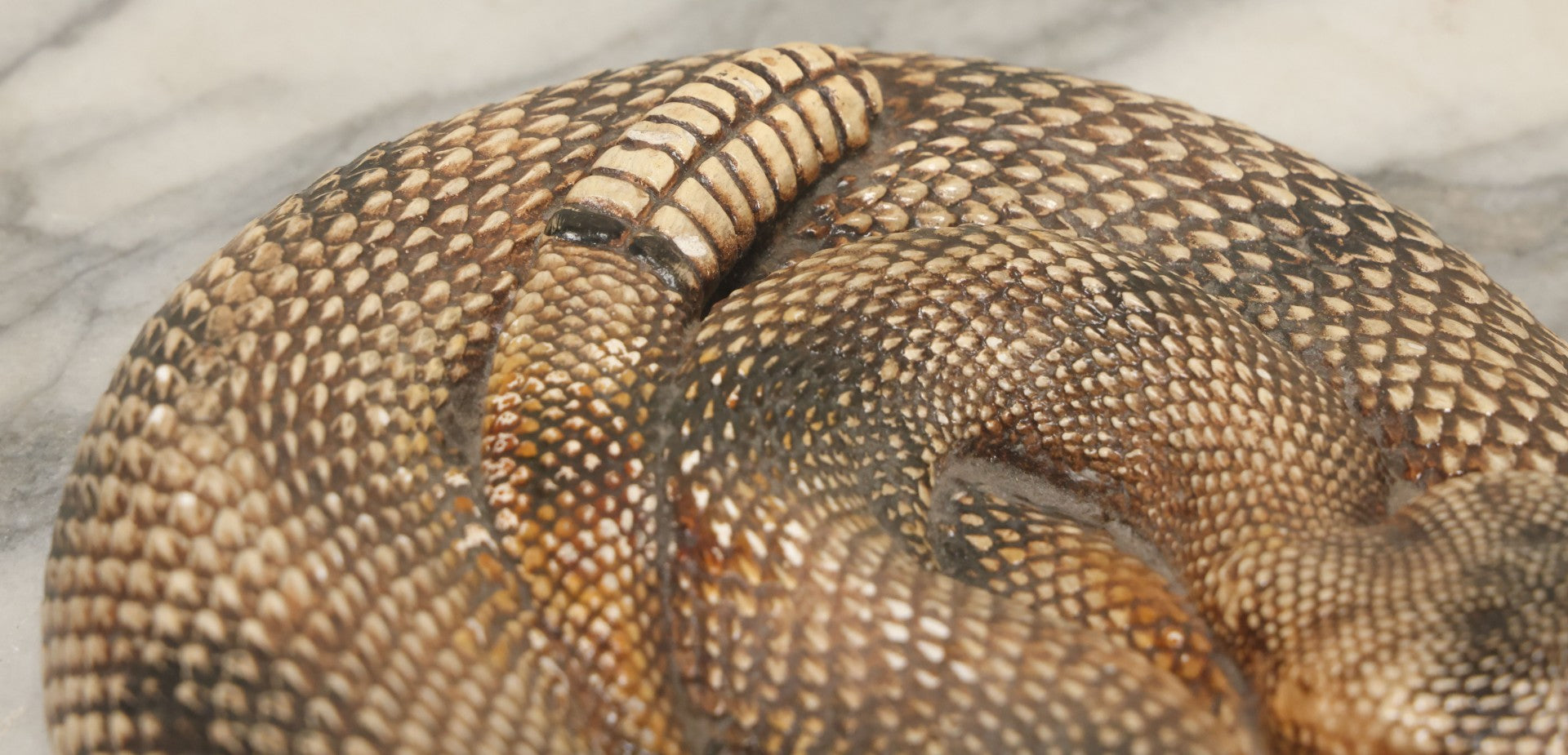 Lot 043 - Vintage Chalkware Coiled Rattlesnake Figurine, Realistic Textured Finish
