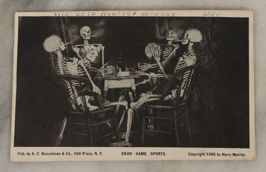 Lot 108 - Single Antique Postcard, Skeletons Playing Cards, Smoking Cigarettes, "Dead Game Sports," Copyright 1905 By Harry Murray, Published By A.C. Bosselman & Co., Brooklyn, New York, Postmarked 1906