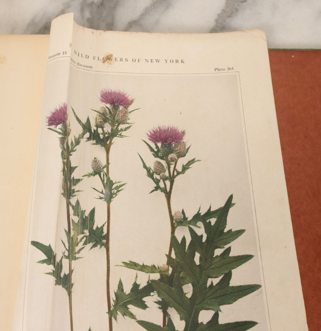 Lot 103 - "Wildflowers Of New York" Antique Book By The University Of New York State Museum, 1921, Profusely Illustrated