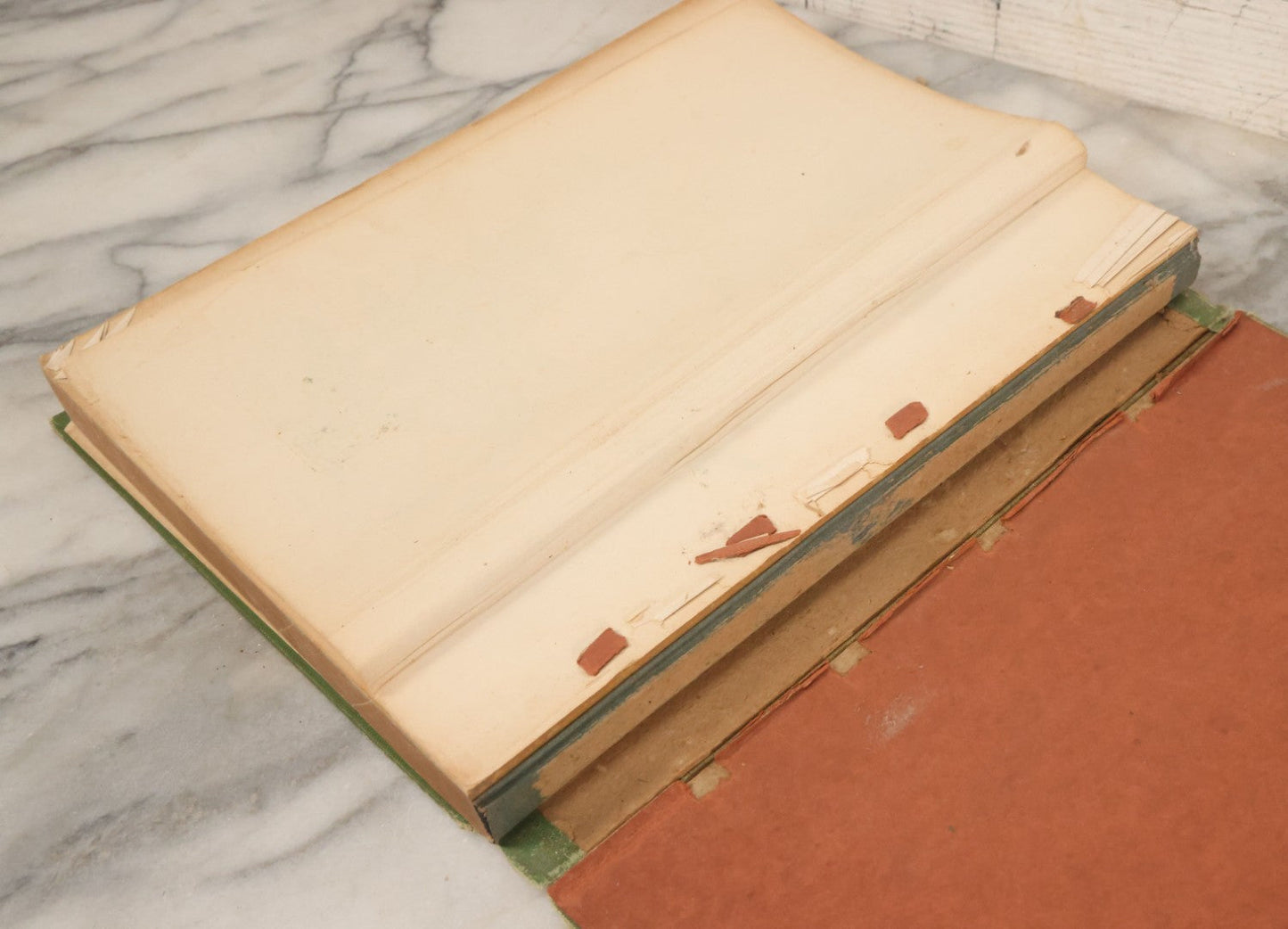 Lot 103 - "Wildflowers Of New York" Antique Book By The University Of New York State Museum, 1921, Profusely Illustrated