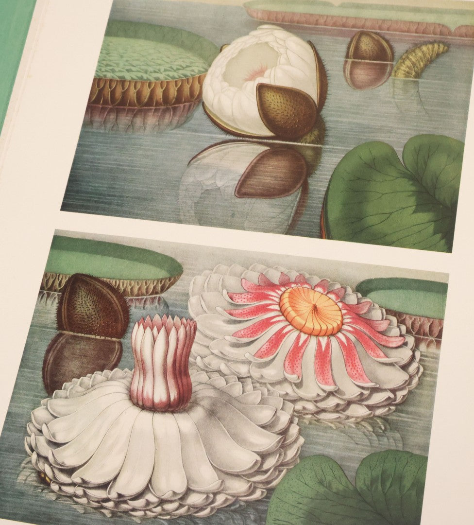 Lot 104 - "House And Garden Revised Portfolio Of Twenty-Five Flower Prints" Selected And With Notes By Richardson Wright, Editor-In-Chief, By The Conde Nast Publications Inc., New York, 1948, Note Only 22 Prints Present, 3 Are Missing