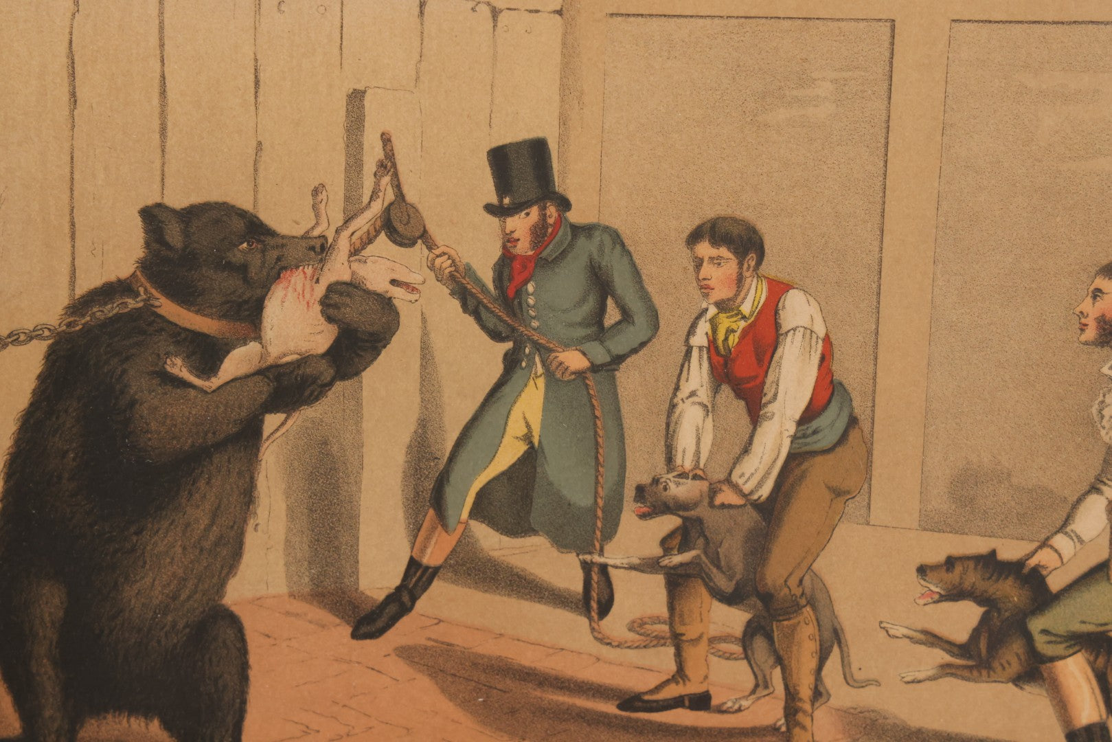 Lot 018 - Antique Hand Colored Lithograph Entitled "Bear Baiting" With Bear Eating, Baited By Dogs, Published By T. Mclean, 1820, Likely A Later Printing, In Frame, 15-3/8" x 11-3/4"