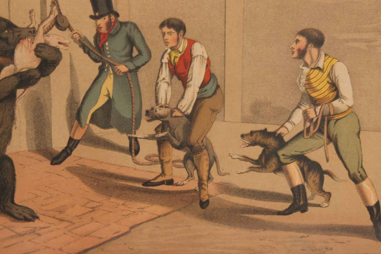 Lot 018 - Antique Hand Colored Lithograph Entitled "Bear Baiting" With Bear Eating, Baited By Dogs, Published By T. Mclean, 1820, Likely A Later Printing, In Frame, 15-3/8" x 11-3/4"