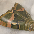 Lot 062 - Antique Tin Lithograph Silk Moth "Cynthia" Friction Toy By Animate Toy, Circa 1916, Note Non Working, Needs Repair