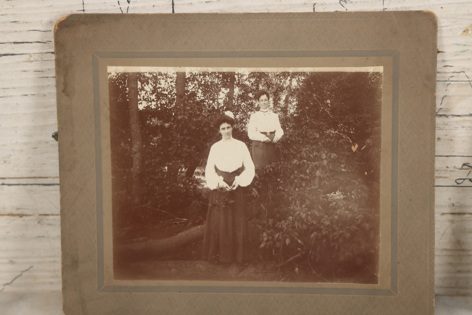 Lot 078 - Grouping Of Three Antique Boarded Photographs Of Edwardian Women Outdoors, In Bushes And In Front Of House, Unidentified
