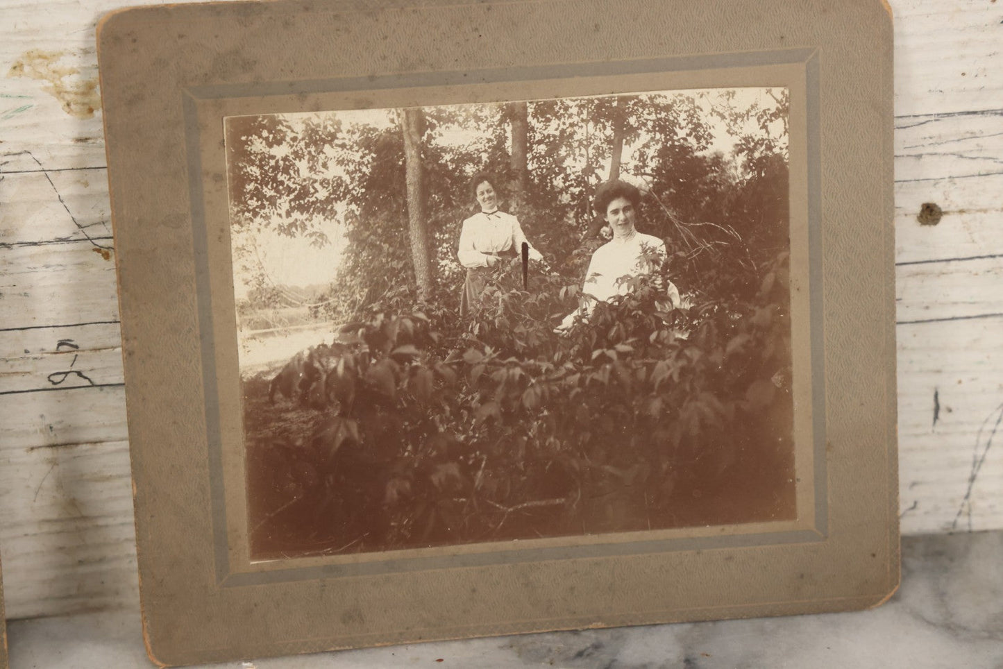 Lot 078 - Grouping Of Three Antique Boarded Photographs Of Edwardian Women Outdoors, In Bushes And In Front Of House, Unidentified