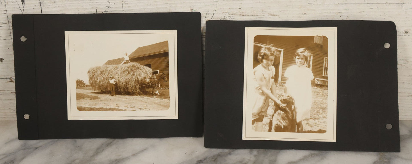 Lot 081 - Pair Of Loose Photo Album Pages With Four Vintage Snap Shots Including Youth Baseball Team, Boys With Bicycles And Dogs, Hay Art, And Girls With Dog