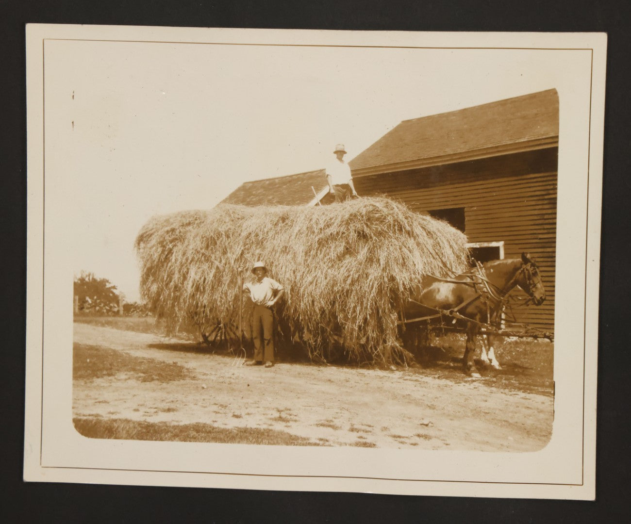 Lot 081 - Pair Of Loose Photo Album Pages With Four Vintage Snap Shots Including Youth Baseball Team, Boys With Bicycles And Dogs, Hay Art, And Girls With Dog
