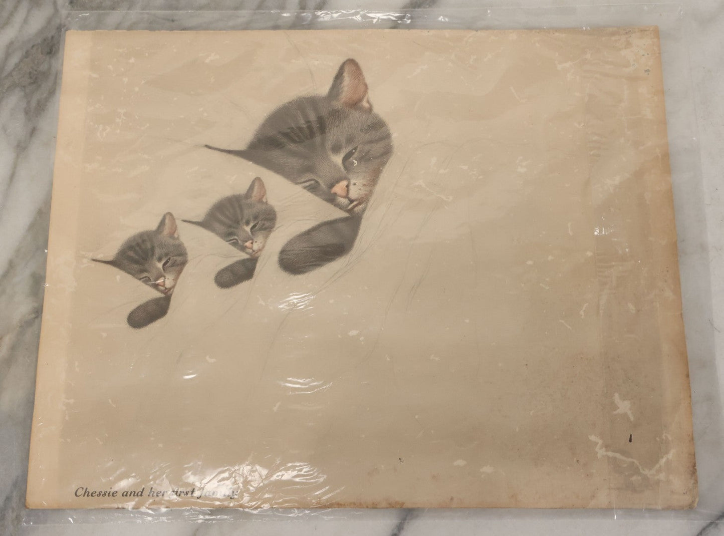 Lot 091 - Pair Of Vintage Chessie The Cat Prints, Mascot Of Chesapeake And Ohio Railway, Unframed