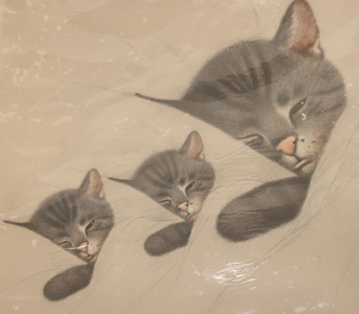 Lot 091 - Pair Of Vintage Chessie The Cat Prints, Mascot Of Chesapeake And Ohio Railway, Unframed