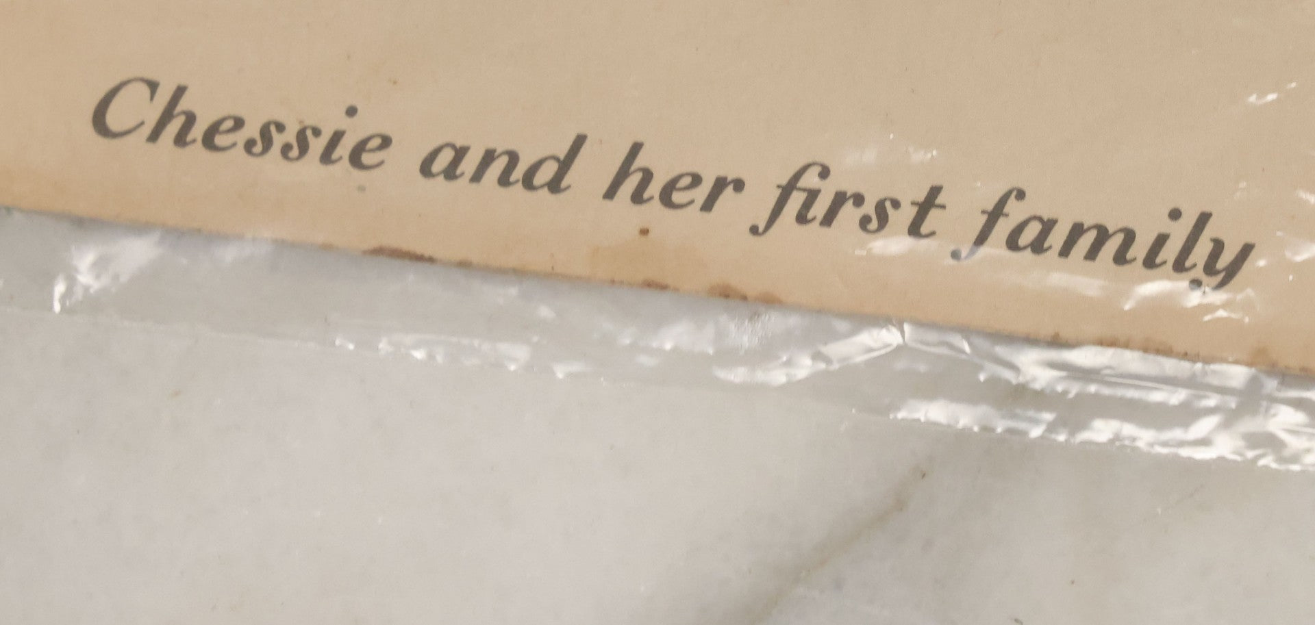 Lot 091 - Pair Of Vintage Chessie The Cat Prints, Mascot Of Chesapeake And Ohio Railway, Unframed