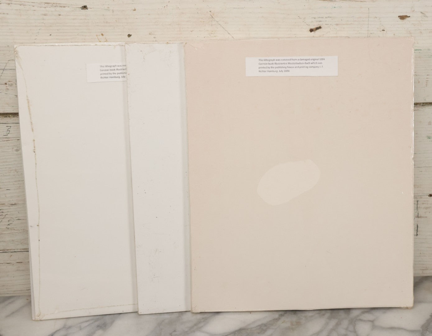 Lot 092 - Grouping Of Three Antique German Chromolithograph Bookplates Of Pigeons, From Illustriertes Mustertauben=Bush, J.F. Richter Printing, Hamburg, 1884 