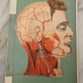Lot 093 - Antique Paper Fold Out Medical Bookplate Of The Head, Brain, Skull, Etc., Copyright A.A. Marshall, 1919