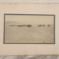 Lot 098 - Antique Boarded Western Photograph Of American Bison Walking Across The Plains